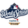 2025 World Series Image